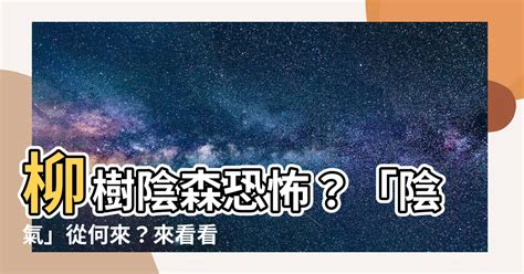 柳樹招陰|柳樹真的能招來“陰氣”嗎？如何用科學解讀“陰氣”？